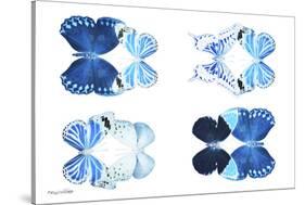 Miss Butterfly X-Ray Duo White IV-Philippe Hugonnard-Stretched Canvas