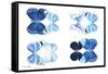 Miss Butterfly X-Ray Duo White IV-Philippe Hugonnard-Framed Stretched Canvas