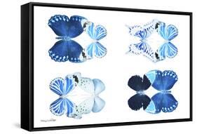 Miss Butterfly X-Ray Duo White IV-Philippe Hugonnard-Framed Stretched Canvas