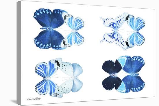 Miss Butterfly X-Ray Duo White IV-Philippe Hugonnard-Stretched Canvas