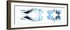 Miss Butterfly X-Ray Duo White Pano II-Philippe Hugonnard-Framed Photographic Print