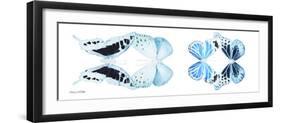 Miss Butterfly X-Ray Duo White Pano II-Philippe Hugonnard-Framed Photographic Print