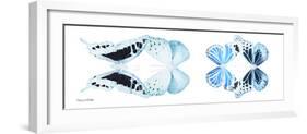 Miss Butterfly X-Ray Duo White Pano II-Philippe Hugonnard-Framed Photographic Print