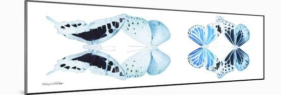 Miss Butterfly X-Ray Duo White Pano II-Philippe Hugonnard-Mounted Photographic Print