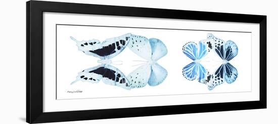 Miss Butterfly X-Ray Duo White Pano II-Philippe Hugonnard-Framed Photographic Print