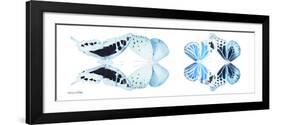 Miss Butterfly X-Ray Duo White Pano II-Philippe Hugonnard-Framed Photographic Print