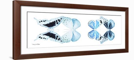 Miss Butterfly X-Ray Duo White Pano II-Philippe Hugonnard-Framed Photographic Print