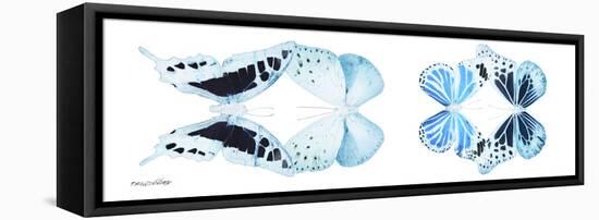 Miss Butterfly X-Ray Duo White Pano II-Philippe Hugonnard-Framed Stretched Canvas