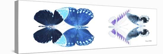 Miss Butterfly X-Ray Duo White Pano III-Philippe Hugonnard-Stretched Canvas