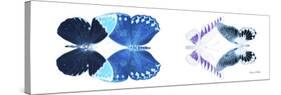Miss Butterfly X-Ray Duo White Pano III-Philippe Hugonnard-Stretched Canvas
