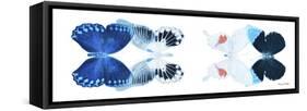 Miss Butterfly X-Ray Duo White Pano IV-Philippe Hugonnard-Framed Stretched Canvas