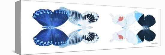 Miss Butterfly X-Ray Duo White Pano IV-Philippe Hugonnard-Stretched Canvas