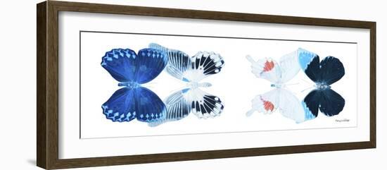 Miss Butterfly X-Ray Duo White Pano IV-Philippe Hugonnard-Framed Photographic Print