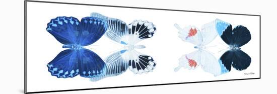 Miss Butterfly X-Ray Duo White Pano IV-Philippe Hugonnard-Mounted Photographic Print