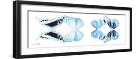 Miss Butterfly X-Ray Duo White Pano IX-Philippe Hugonnard-Framed Photographic Print
