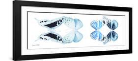 Miss Butterfly X-Ray Duo White Pano IX-Philippe Hugonnard-Framed Photographic Print