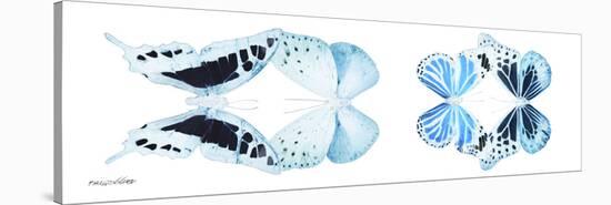 Miss Butterfly X-Ray Duo White Pano IX-Philippe Hugonnard-Stretched Canvas