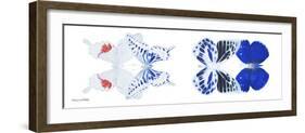 Miss Butterfly X-Ray Duo White Pano V-Philippe Hugonnard-Framed Photographic Print