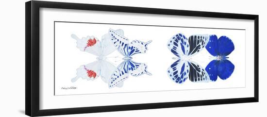 Miss Butterfly X-Ray Duo White Pano V-Philippe Hugonnard-Framed Photographic Print
