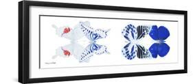 Miss Butterfly X-Ray Duo White Pano V-Philippe Hugonnard-Framed Photographic Print