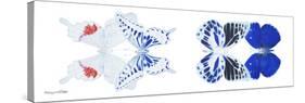 Miss Butterfly X-Ray Duo White Pano V-Philippe Hugonnard-Stretched Canvas