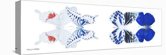 Miss Butterfly X-Ray Duo White Pano V-Philippe Hugonnard-Stretched Canvas