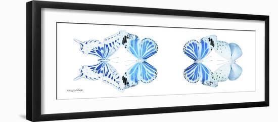 Miss Butterfly X-Ray Duo White Pano VI-Philippe Hugonnard-Framed Photographic Print