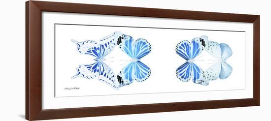 Miss Butterfly X-Ray Duo White Pano VI-Philippe Hugonnard-Framed Photographic Print