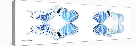 Miss Butterfly X-Ray Duo White Pano VI-Philippe Hugonnard-Stretched Canvas