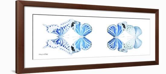 Miss Butterfly X-Ray Duo White Pano VI-Philippe Hugonnard-Framed Photographic Print