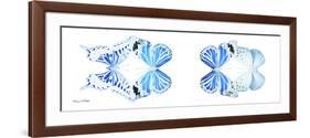 Miss Butterfly X-Ray Duo White Pano VI-Philippe Hugonnard-Framed Photographic Print