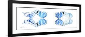 Miss Butterfly X-Ray Duo White Pano VI-Philippe Hugonnard-Framed Photographic Print