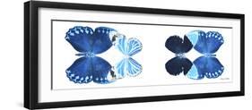 Miss Butterfly X-Ray Duo White Pano VII-Philippe Hugonnard-Framed Premium Photographic Print