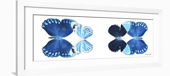 Miss Butterfly X-Ray Duo White Pano VII-Philippe Hugonnard-Framed Photographic Print