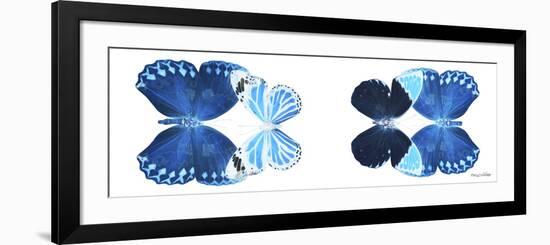 Miss Butterfly X-Ray Duo White Pano VII-Philippe Hugonnard-Framed Photographic Print