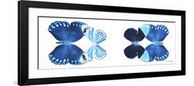 Miss Butterfly X-Ray Duo White Pano VII-Philippe Hugonnard-Framed Photographic Print