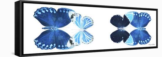 Miss Butterfly X-Ray Duo White Pano VII-Philippe Hugonnard-Framed Stretched Canvas