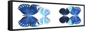 Miss Butterfly X-Ray Duo White Pano VII-Philippe Hugonnard-Framed Stretched Canvas