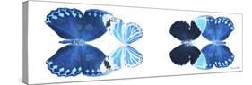 Miss Butterfly X-Ray Duo White Pano VII-Philippe Hugonnard-Stretched Canvas