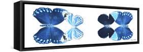 Miss Butterfly X-Ray Duo White Pano VII-Philippe Hugonnard-Framed Stretched Canvas