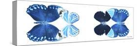 Miss Butterfly X-Ray Duo White Pano VII-Philippe Hugonnard-Stretched Canvas