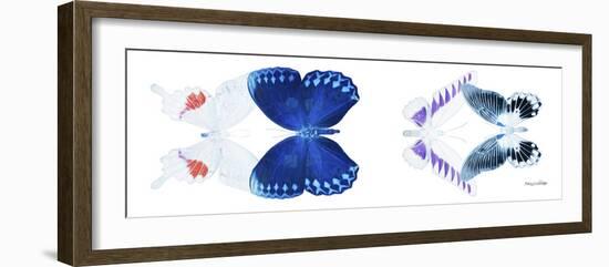 Miss Butterfly X-Ray Duo White Pano VIII-Philippe Hugonnard-Framed Photographic Print