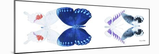 Miss Butterfly X-Ray Duo White Pano VIII-Philippe Hugonnard-Mounted Photographic Print