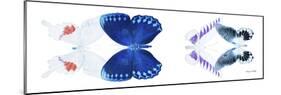 Miss Butterfly X-Ray Duo White Pano VIII-Philippe Hugonnard-Mounted Photographic Print