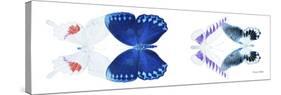 Miss Butterfly X-Ray Duo White Pano VIII-Philippe Hugonnard-Stretched Canvas