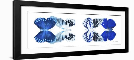 Miss Butterfly X-Ray Duo White Pano X-Philippe Hugonnard-Framed Photographic Print