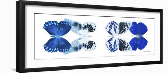 Miss Butterfly X-Ray Duo White Pano X-Philippe Hugonnard-Framed Photographic Print