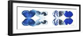 Miss Butterfly X-Ray Duo White Pano X-Philippe Hugonnard-Framed Photographic Print