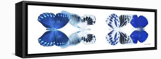 Miss Butterfly X-Ray Duo White Pano X-Philippe Hugonnard-Framed Stretched Canvas