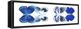 Miss Butterfly X-Ray Duo White Pano X-Philippe Hugonnard-Framed Stretched Canvas